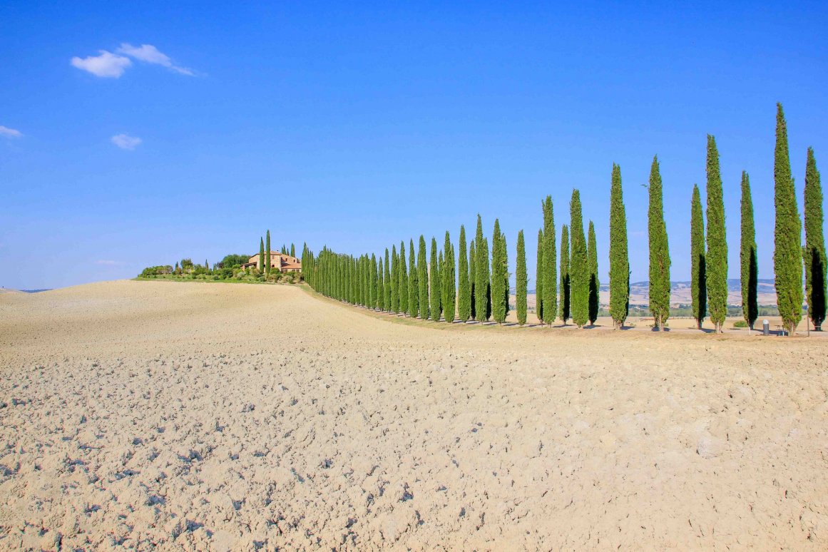 Val d'Orcia, Toscane - Avenue des cyprès Poggio Covili ©Jürgen Reichenpfader