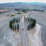 Cyprès de San Quirico d'Orcia, Val d'Orcia, Toscane, Italie