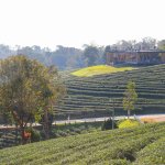 Chiang Rai, Thailand