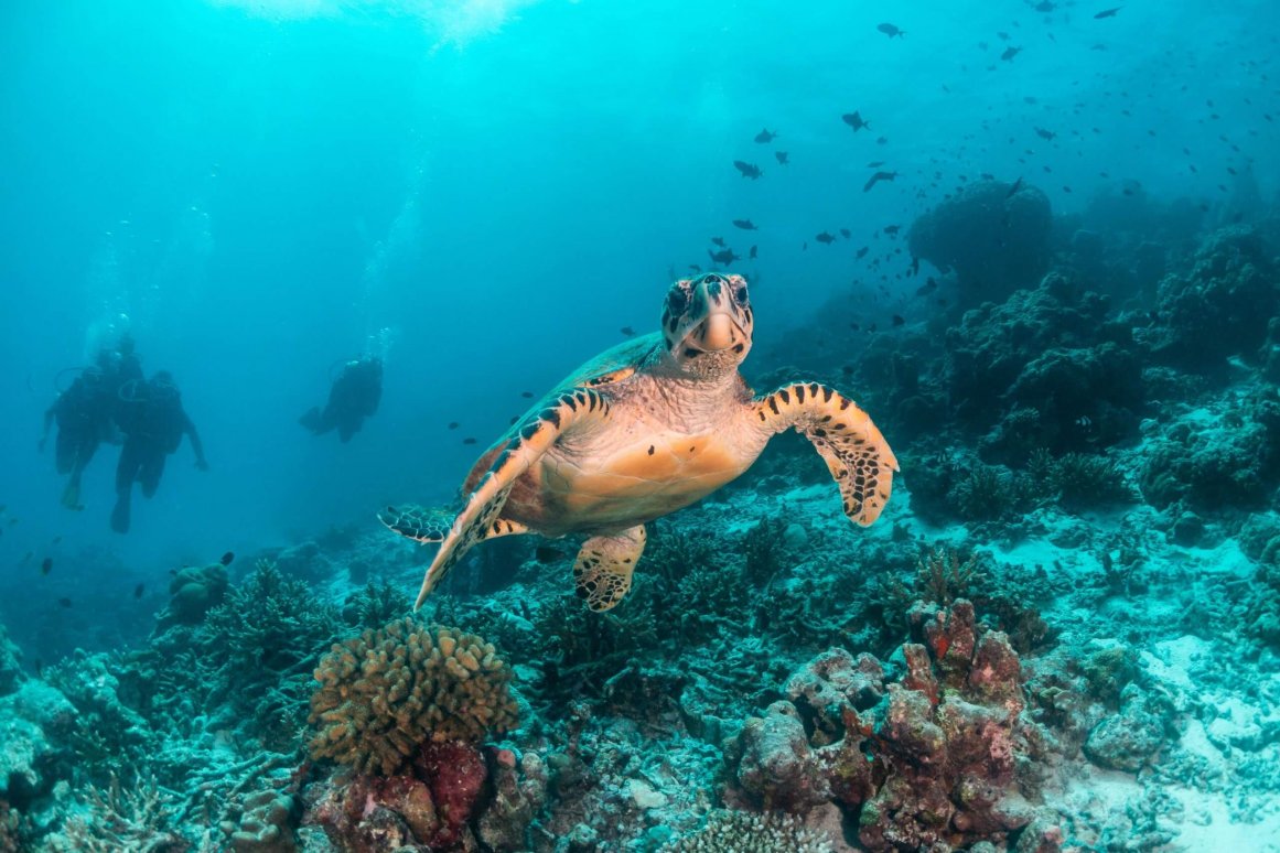 Koh Phangan ©Aaronejbull87-shutterstock.com