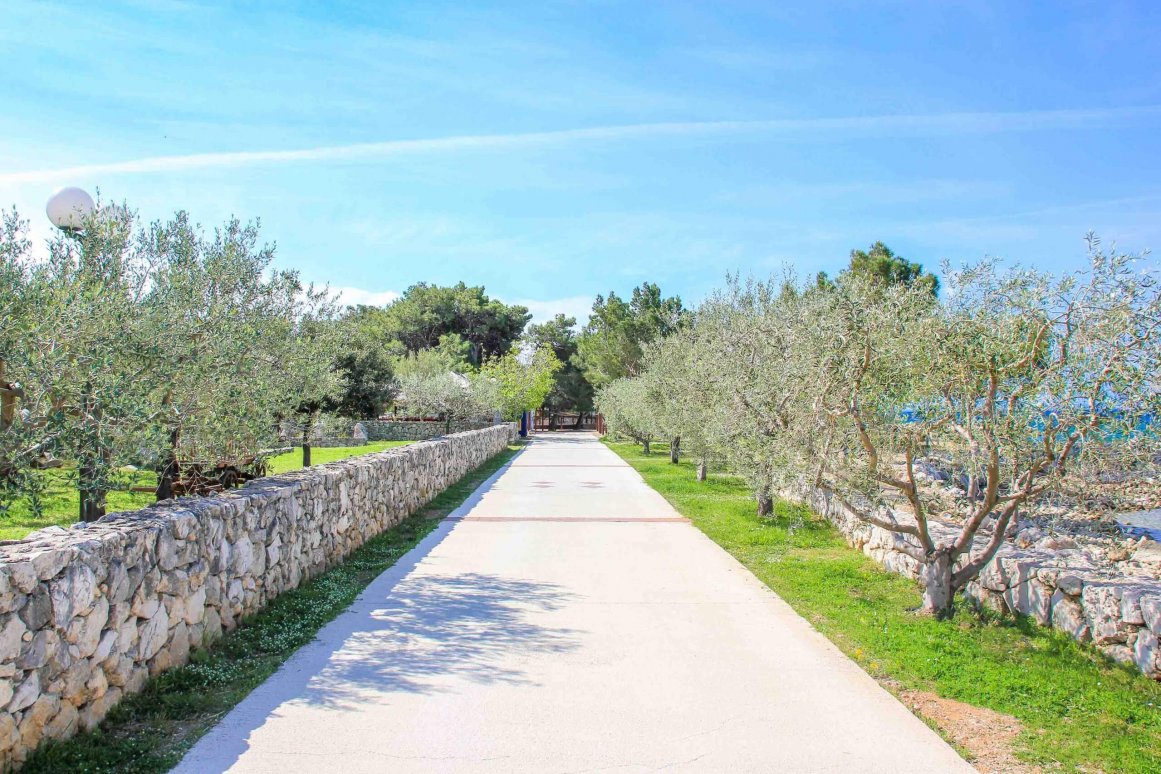 Punat, Insel Krk - Kroatien ©Jürgen Reichenpfader
