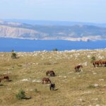 Eyes of Vinodol, Kroatien, Kvarner Bucht