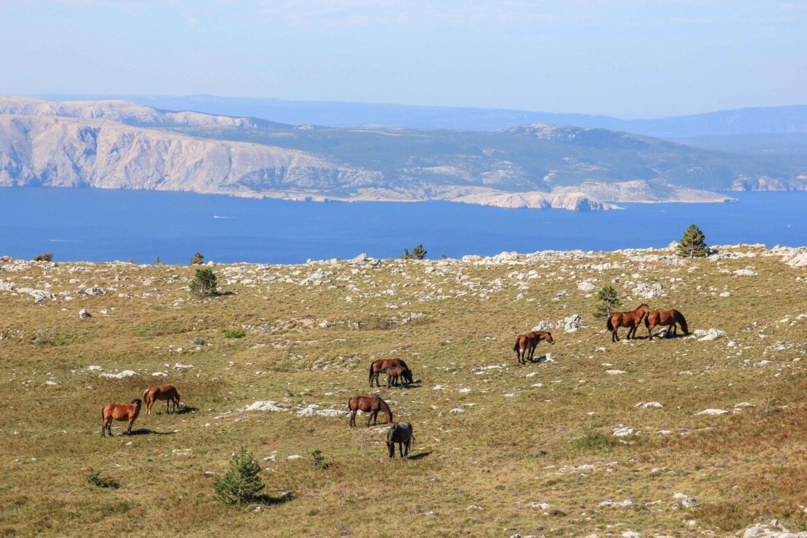 Eyes of Vinodol - Kroatien ©Jürgen Reichenpfader