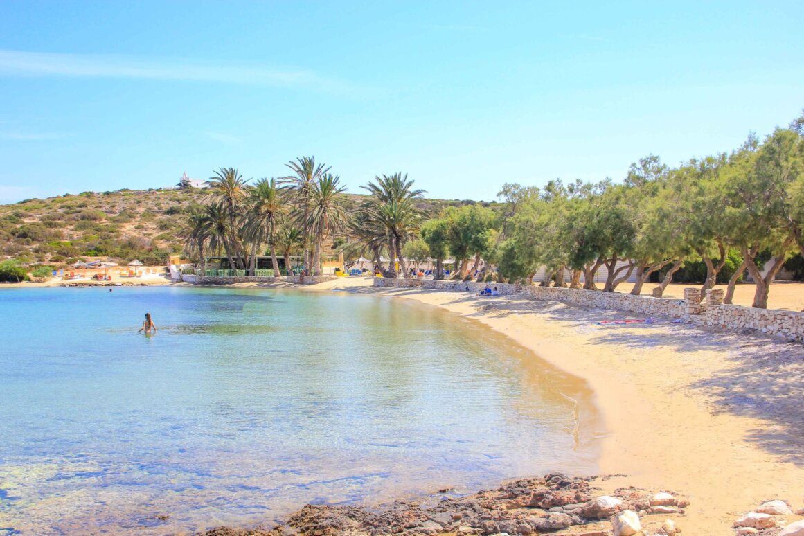 Plage d'Agia Irini (Palm Beach) - Paros ©Jürgen Reichenpfader
