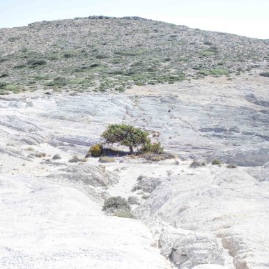 Antiparos 35