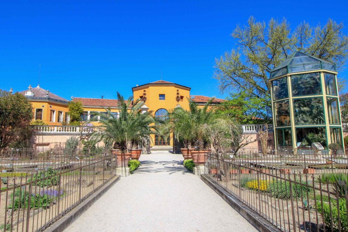 Orto Botanico & Geothes Palme (UNESCO) Padoue ©Jürgen Reichenpfader
