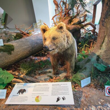 Museum Niederösterreich - St. Pölten ©Jürgen Reichenpfader