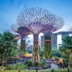 Gardens by the Bay, Singapur